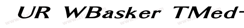 汉仪UR WBasker TMed字体转换